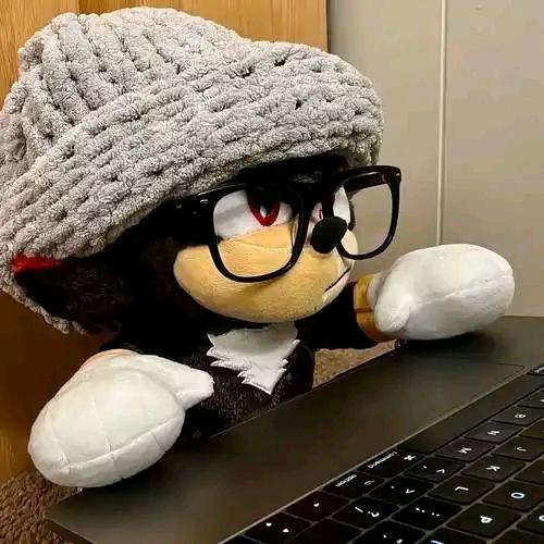 恨之意