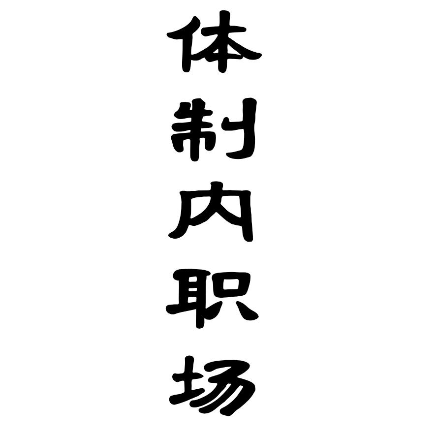 体制内老安