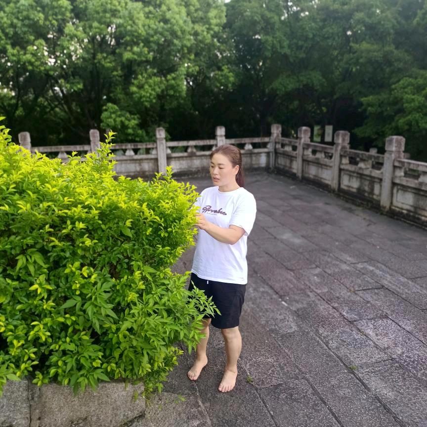 小肖