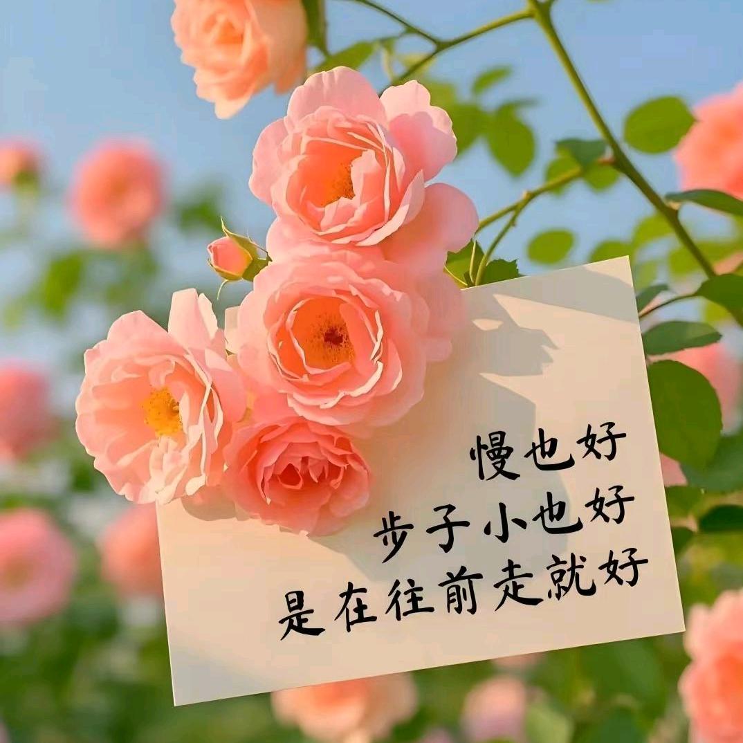 自强不息，厚德载物