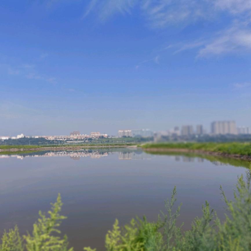 很经典的人生歪理