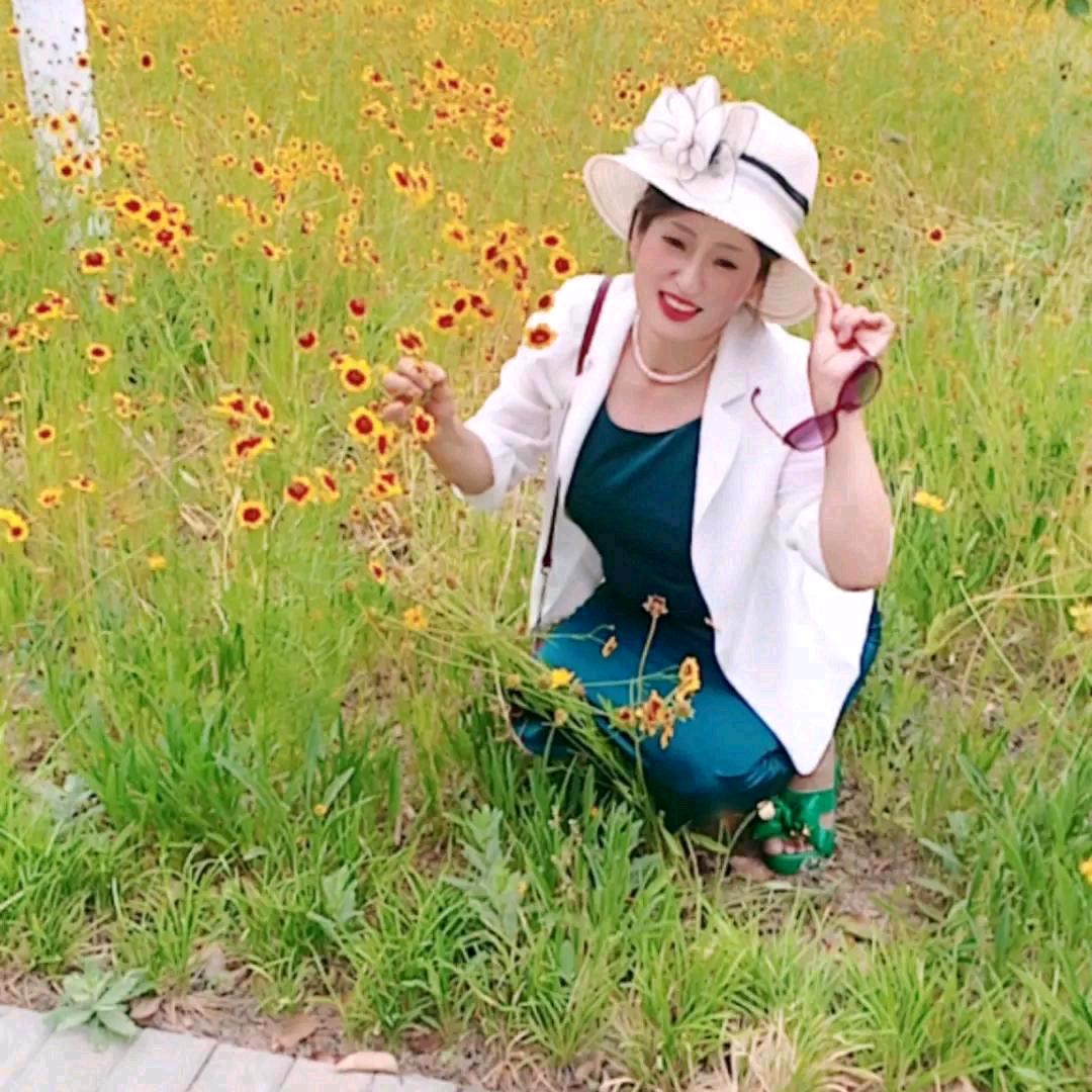 菊