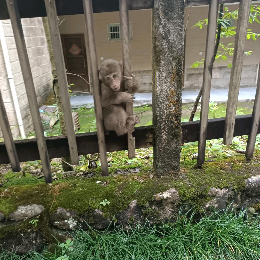小郑