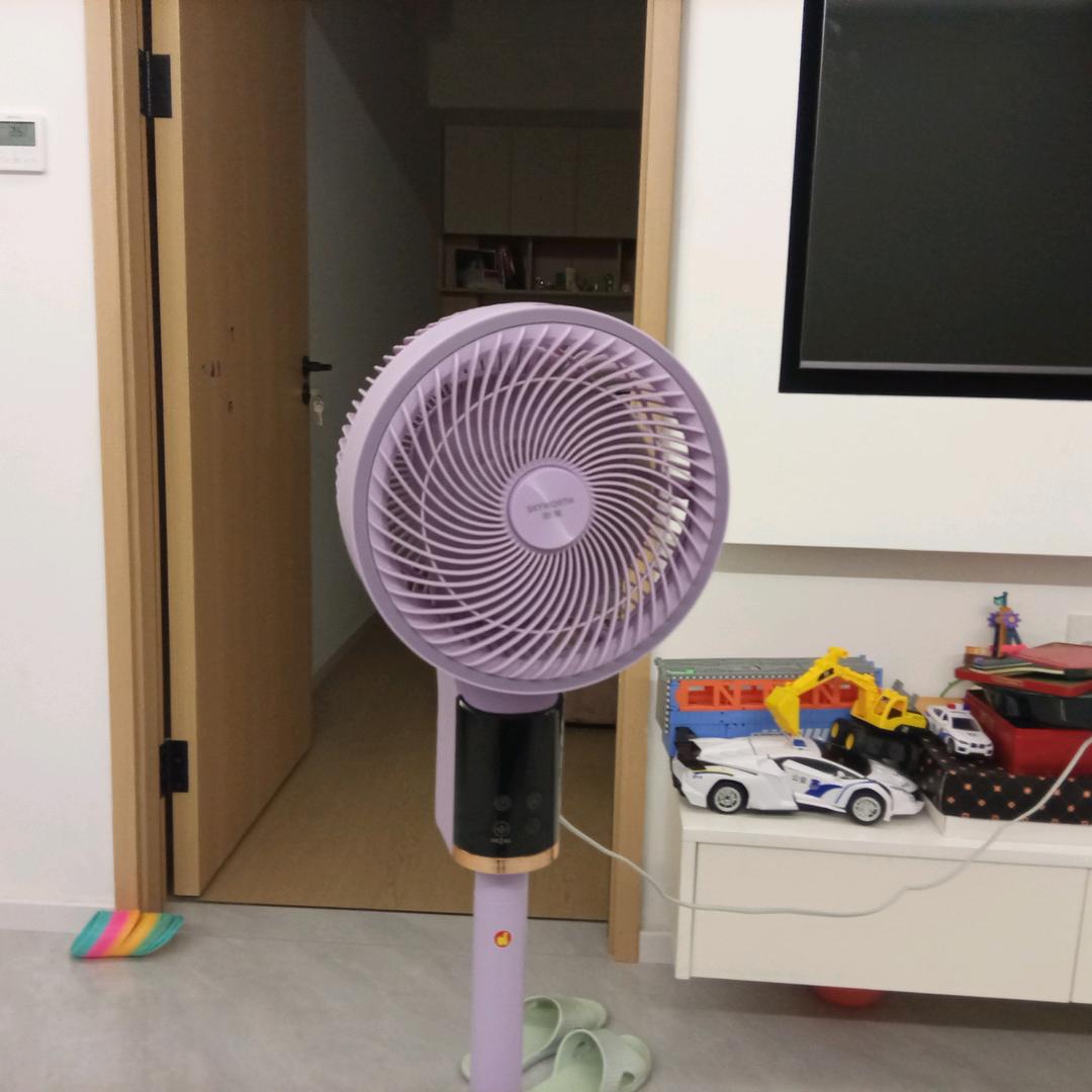 南山老王