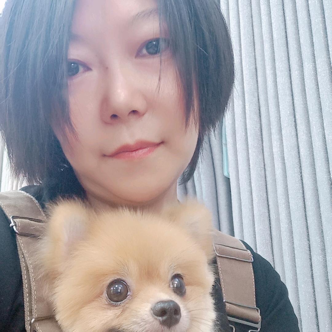 婧小主窗帘软装设计