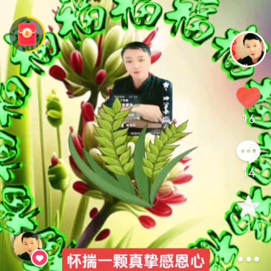 许哥
