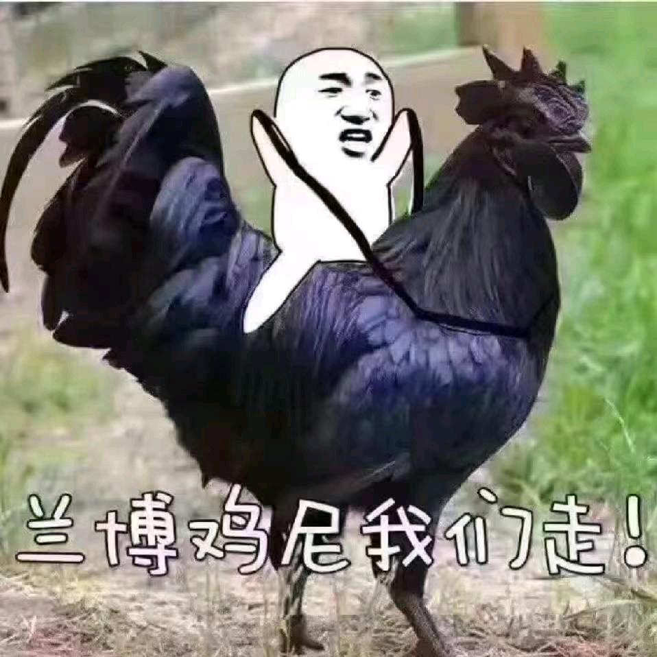天道酬勤哈