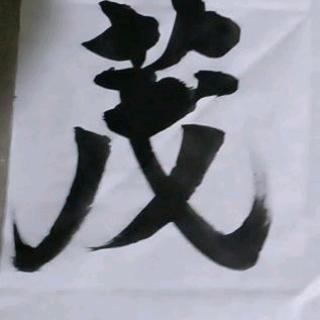 真的好无奈