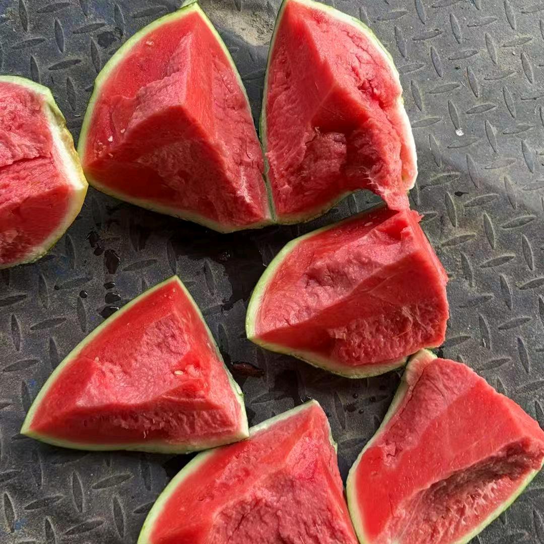 龙四   🐉   🐉   🐉