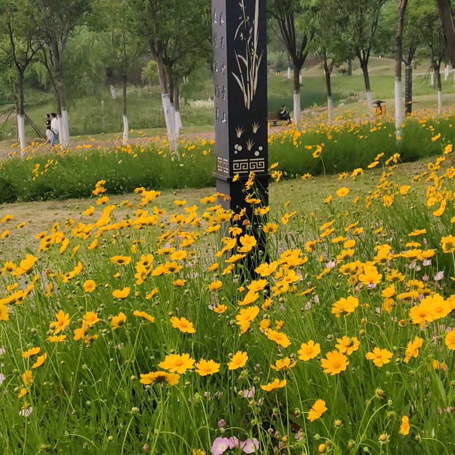 安于٩(๑´時光