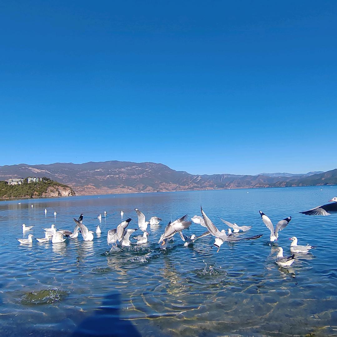 像云漂泊九万里