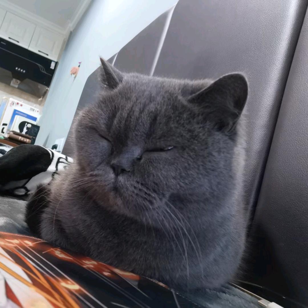 奥德乌木威尔维恩耶尔吐温威乌温穆欧萨斯