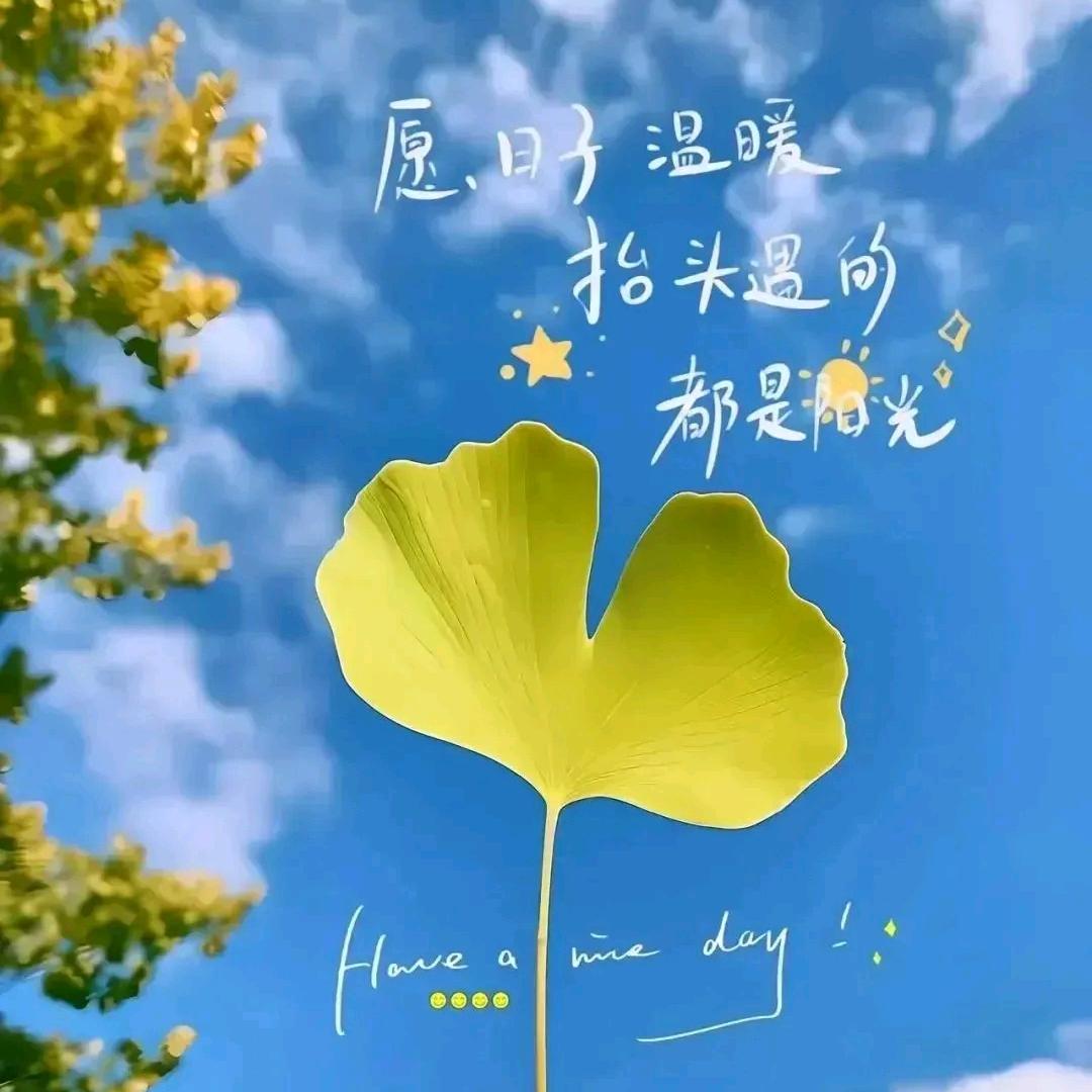 只有你