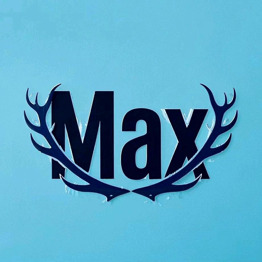MAX-水瓶座（团队招新）