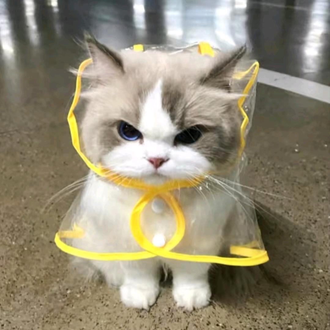 啊you瑞叠