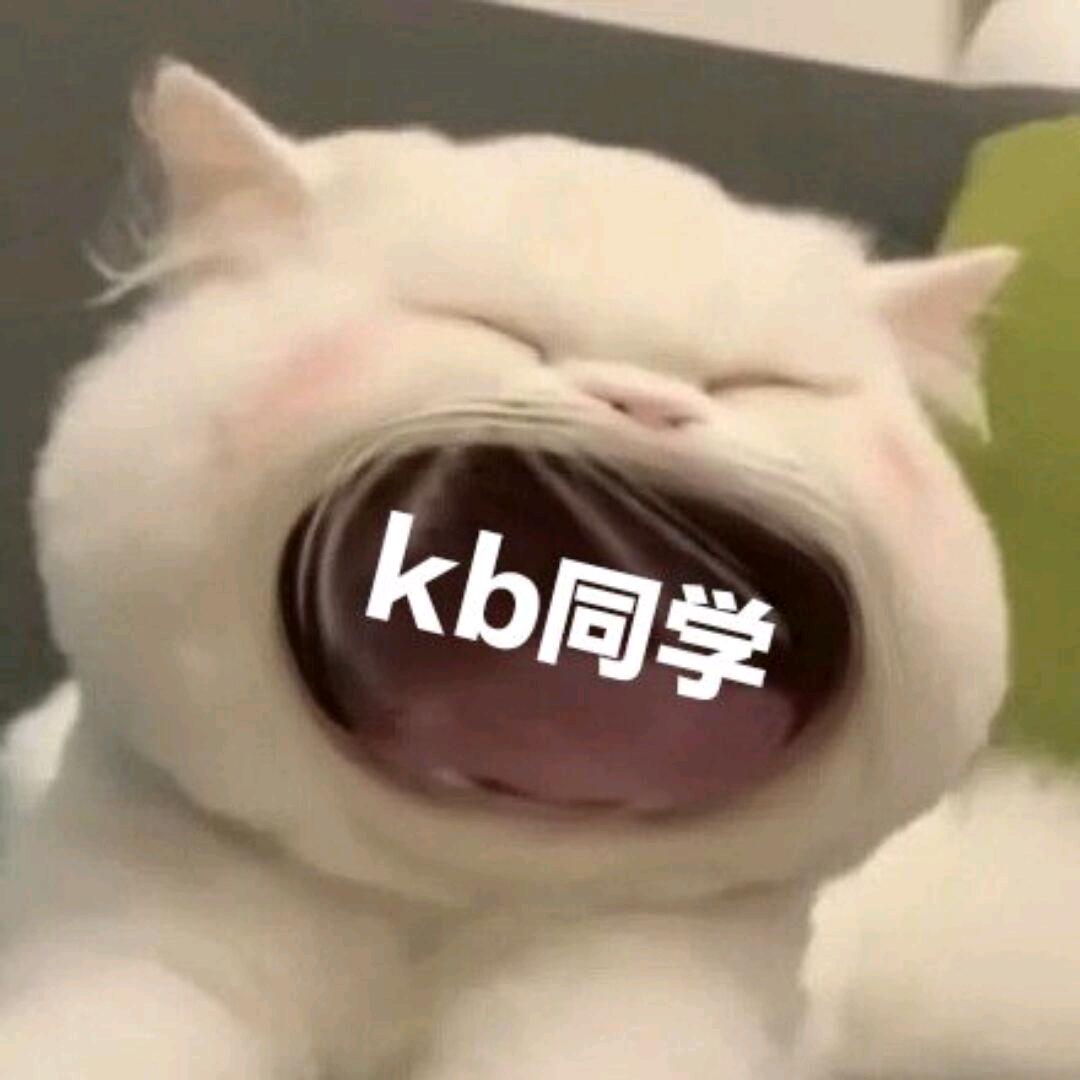 kb同学