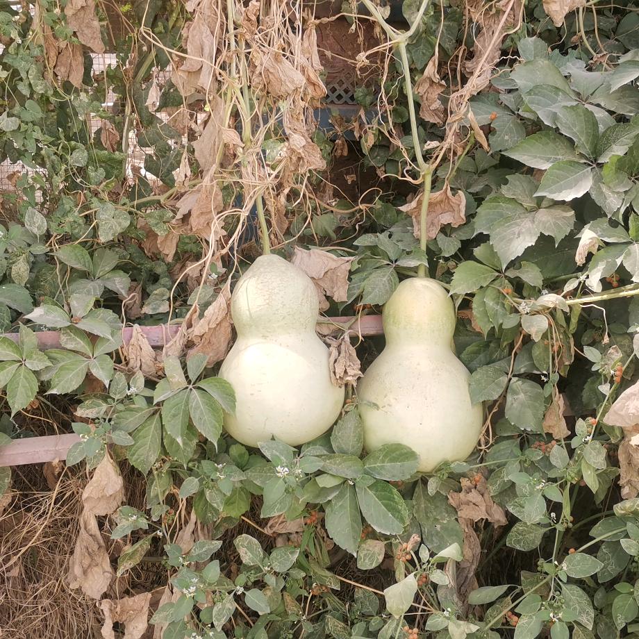 冬天阳光