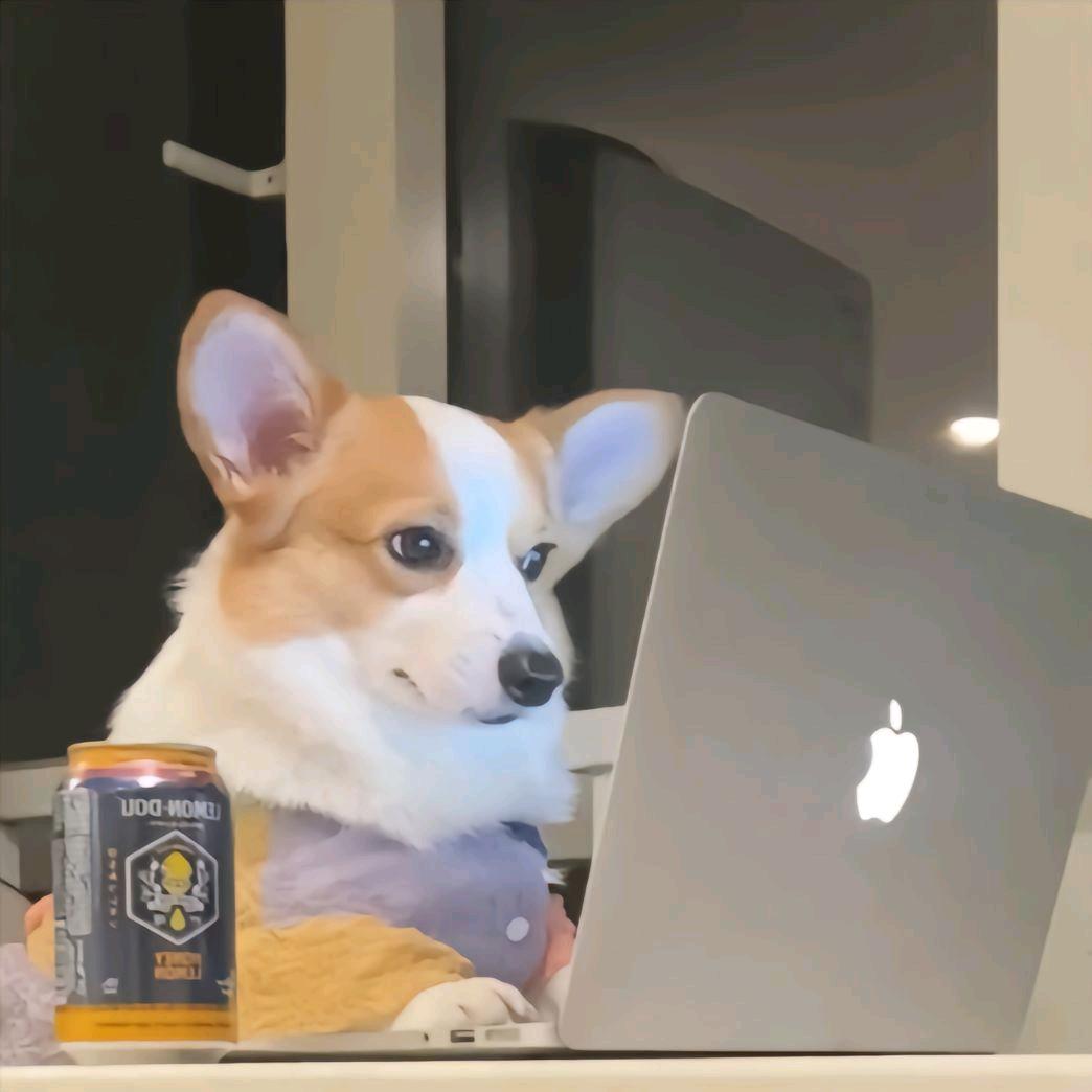 🌈花有重开日  人无再少年