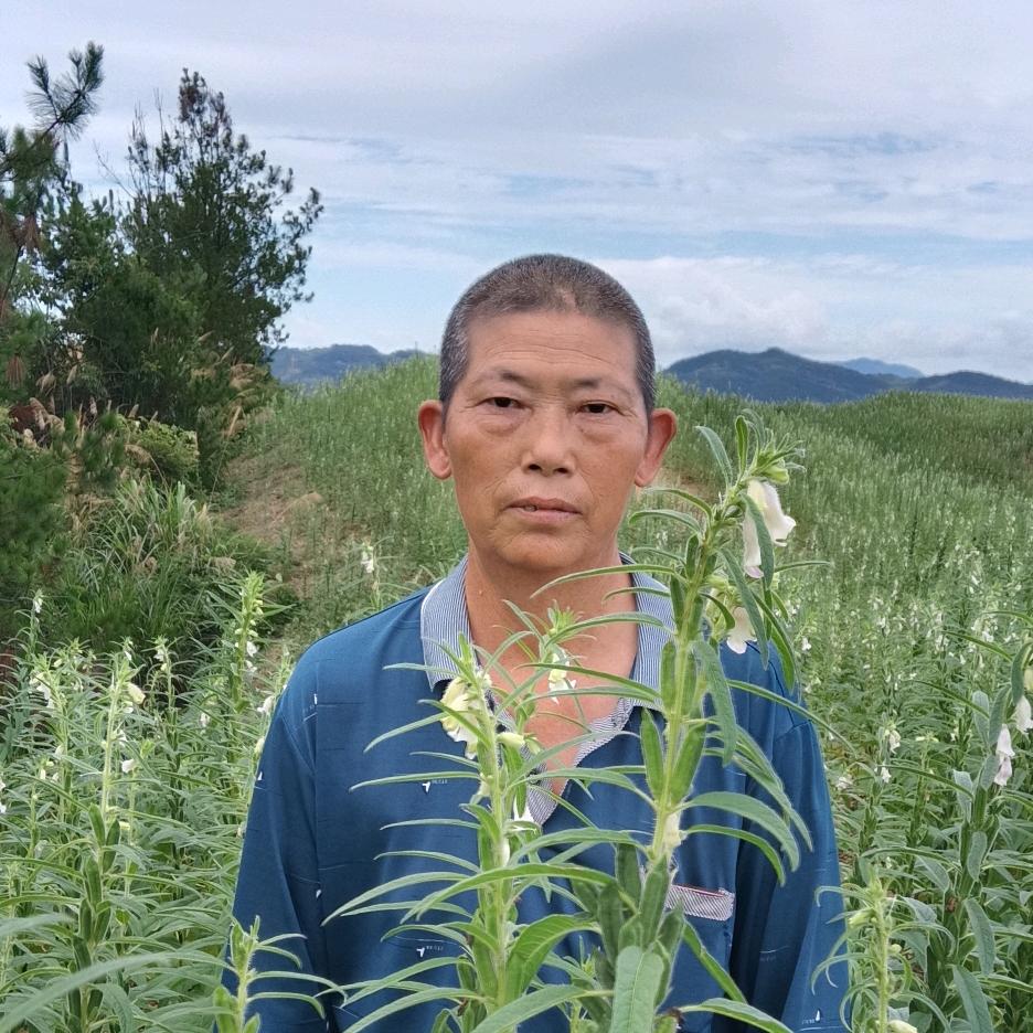 有缘哥(777)（中午11点）