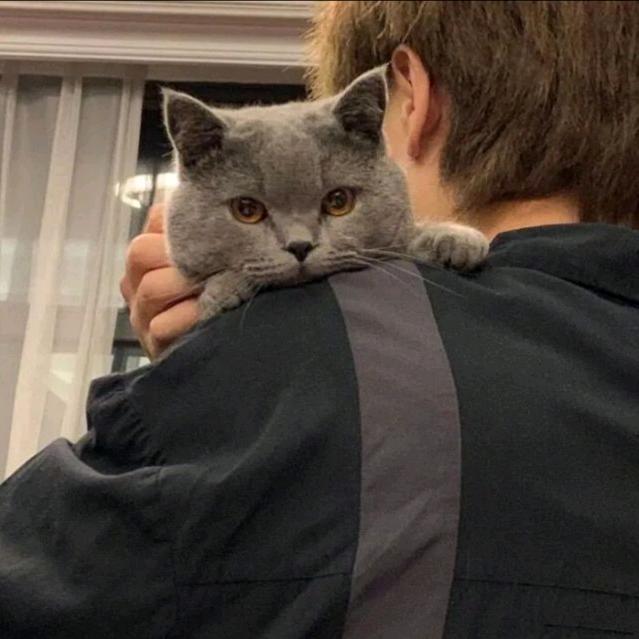 听小乙侃天侃地