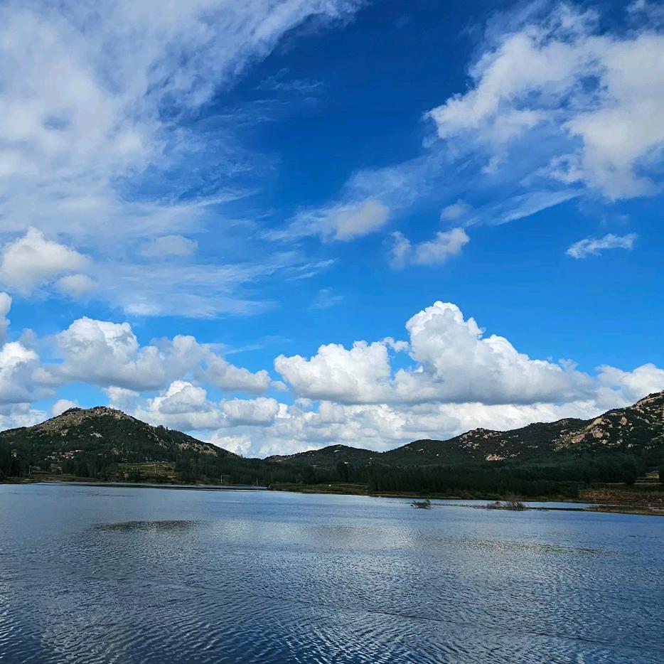 希望的田野
