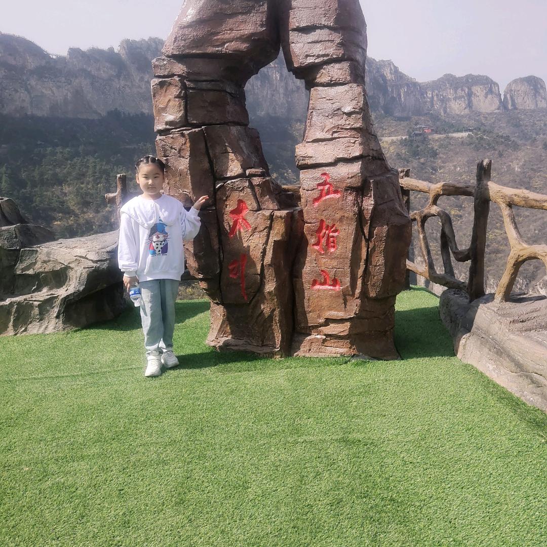 好运锦李（元宵粽子）