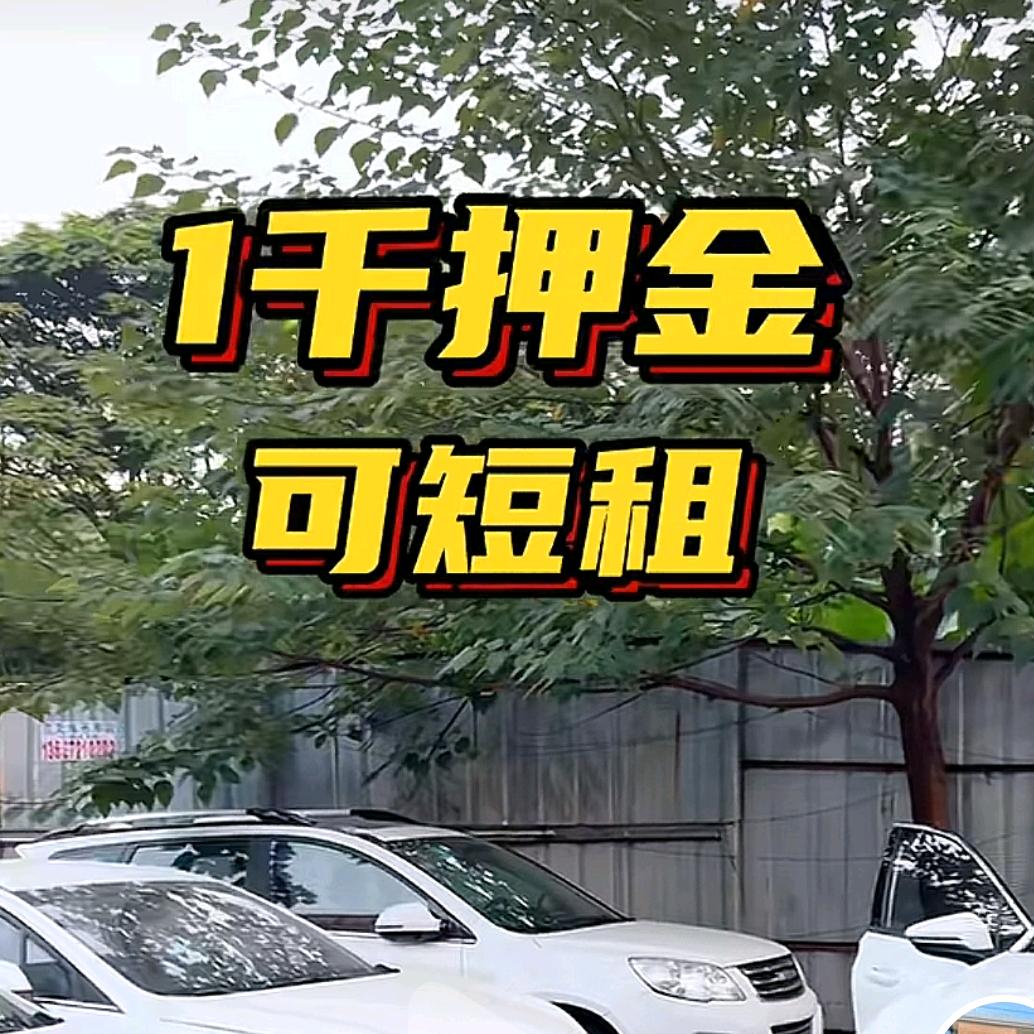 优诚网约车呆呆