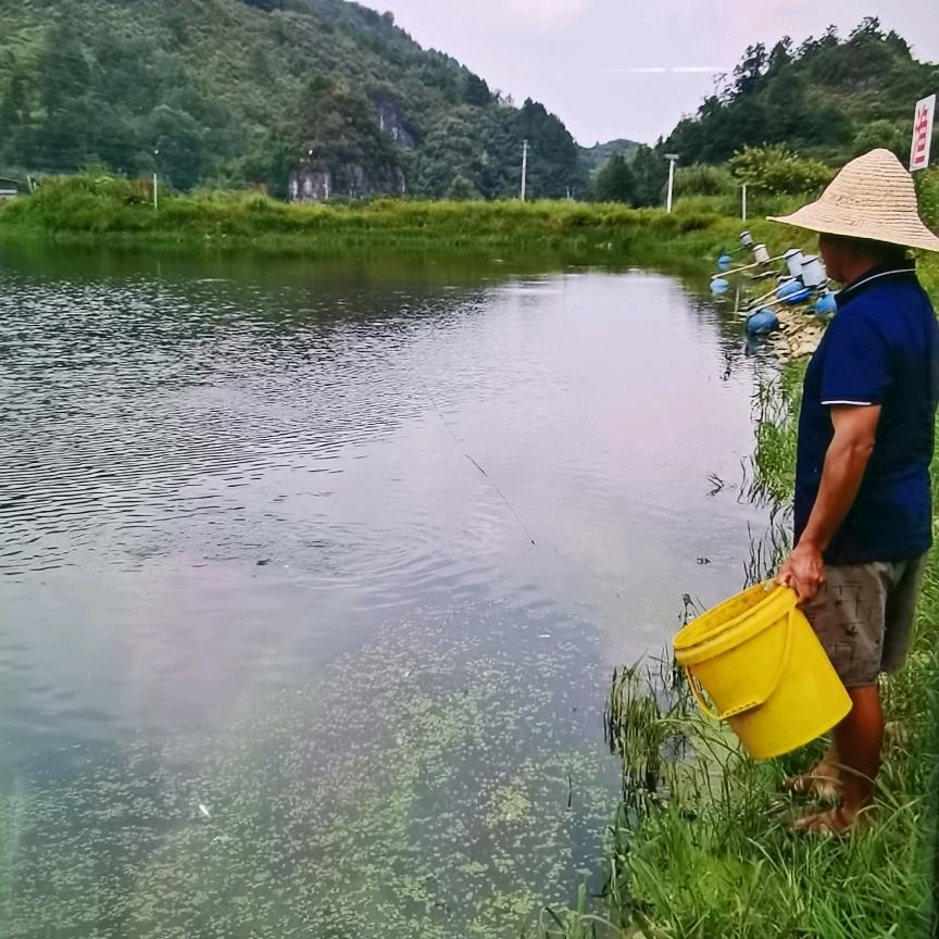 兴兴鱼苗场