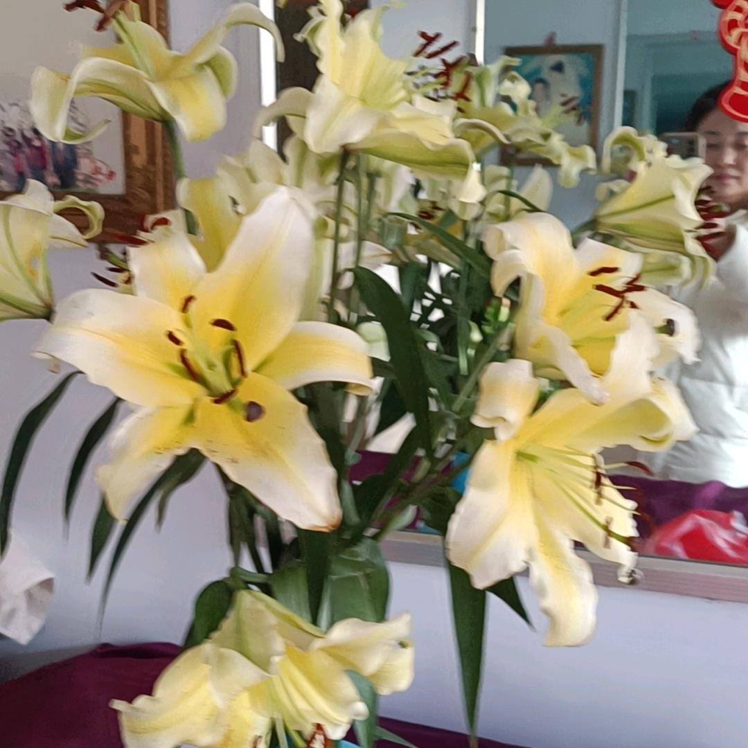 福星⭐雄鹰