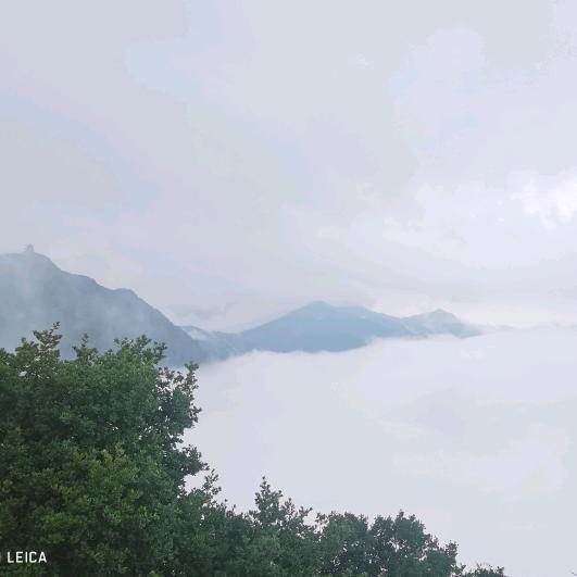 逐梦