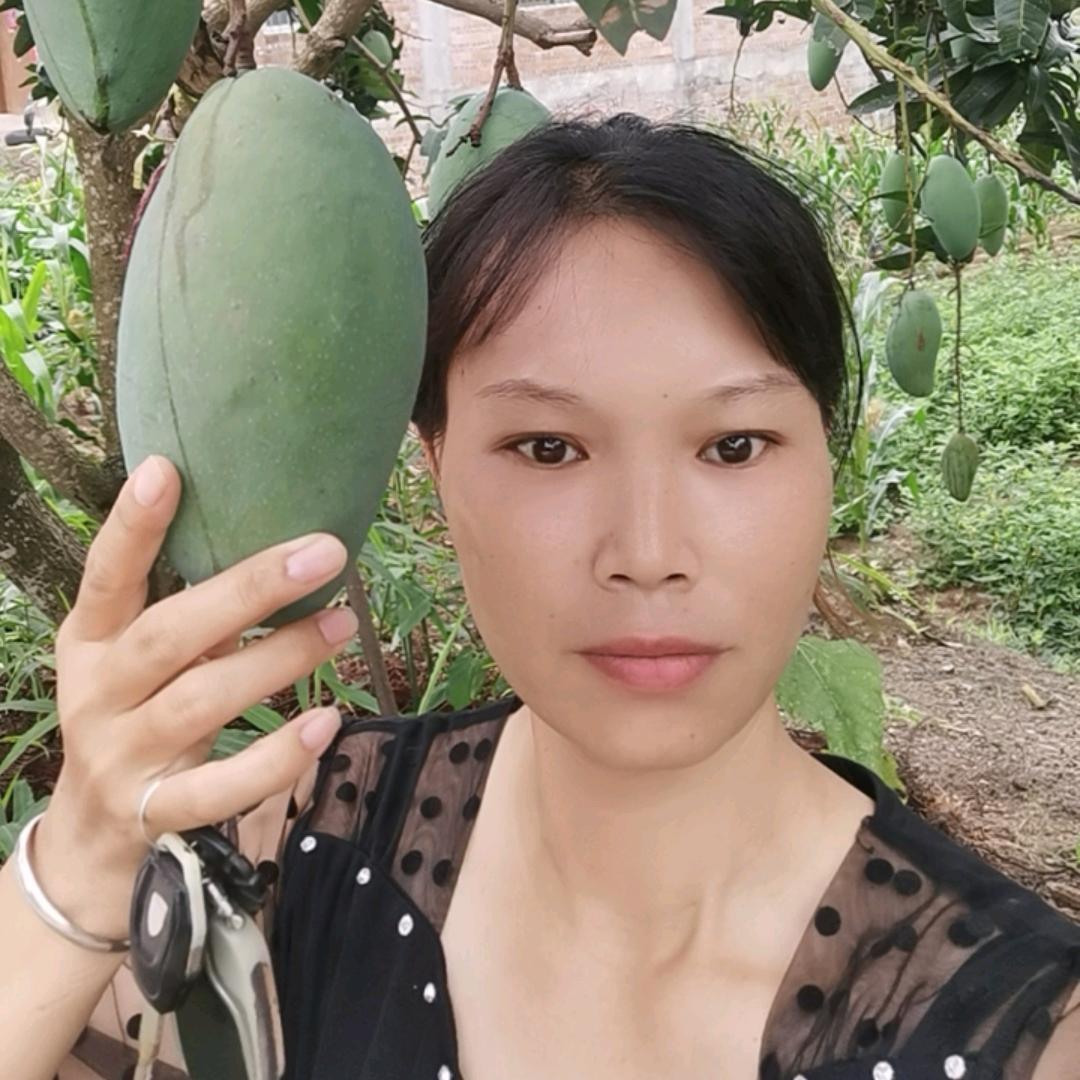 何家七小姐