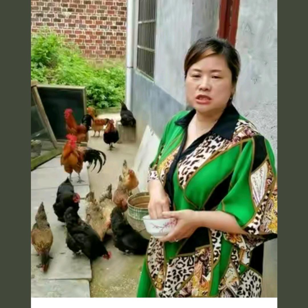 宜春乡村玲子