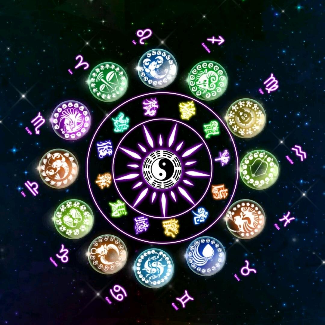 武功☯☯☯☯