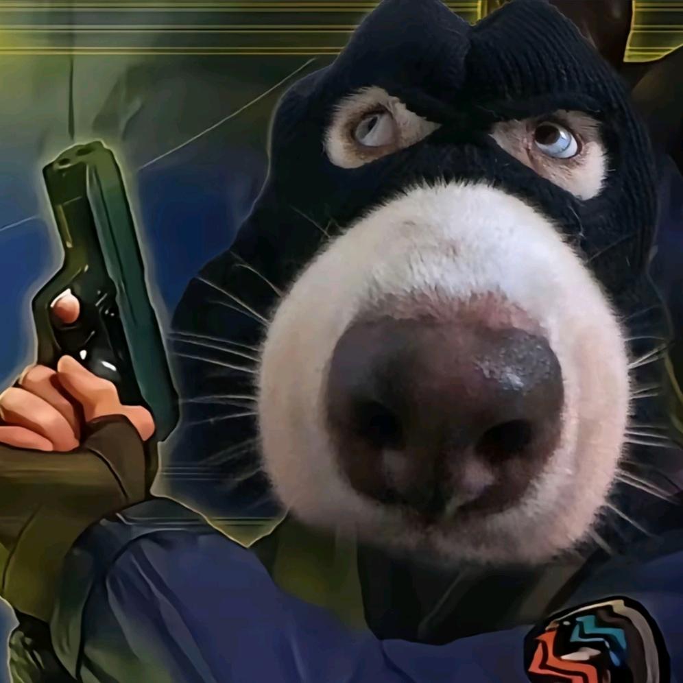 DMSO-D6(高冷版ovo)