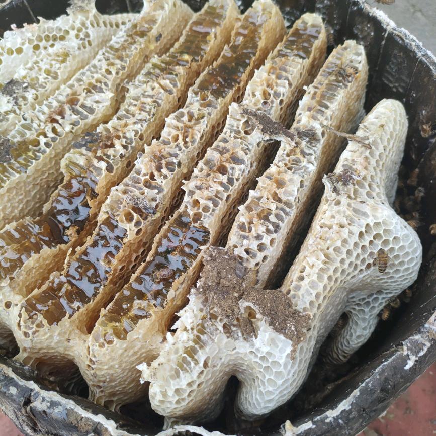 杨快乐