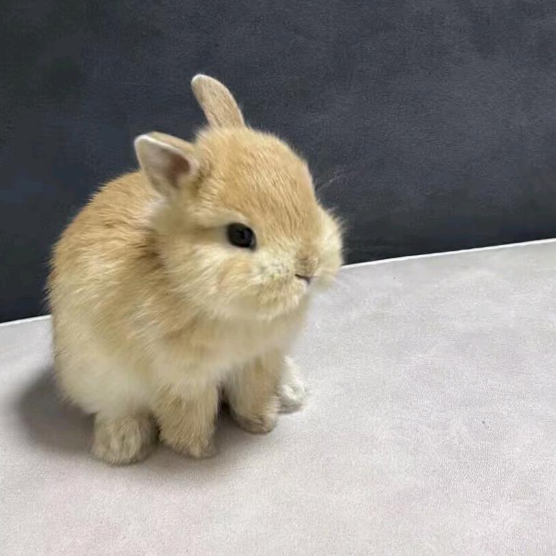 绿豆沙太好喝了吧