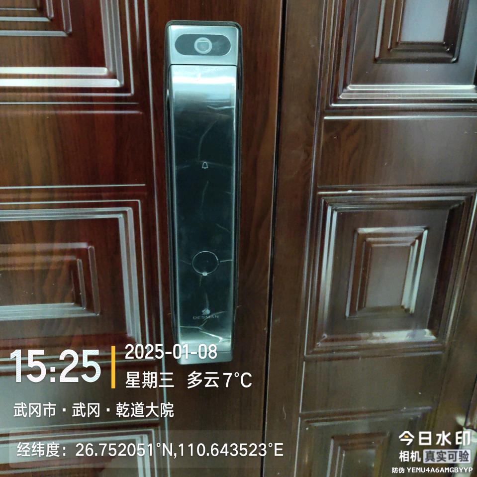 武冈德施曼智能锁