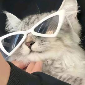 忘了TTT