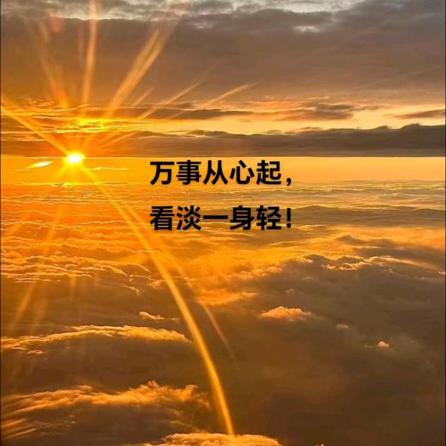 顺天意，还真我。