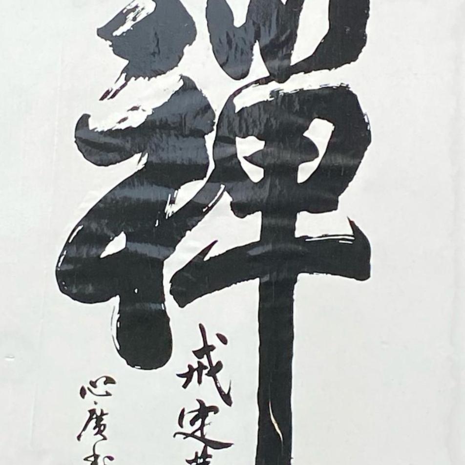 禅慧