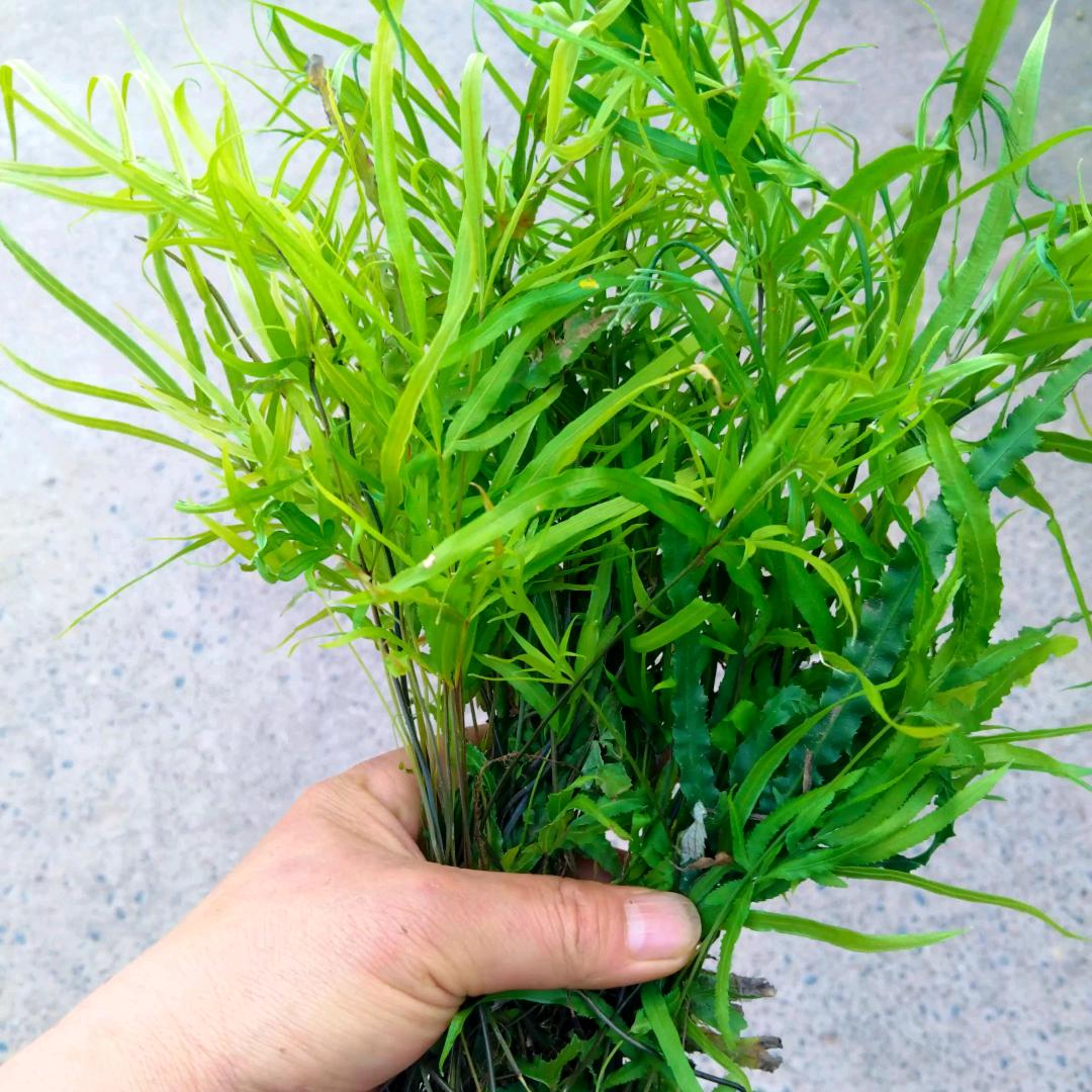 心诚永恒