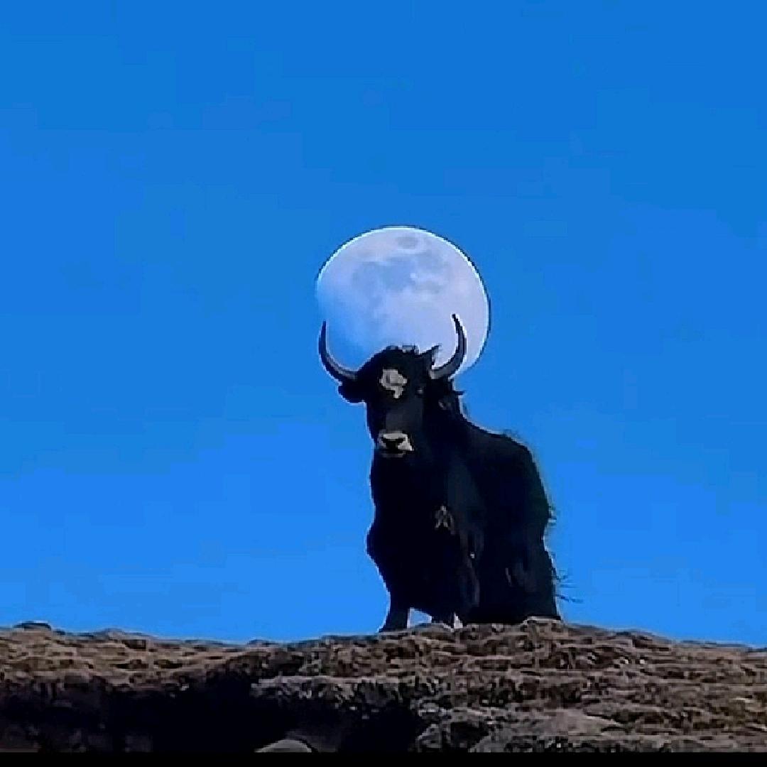 幸福的男人