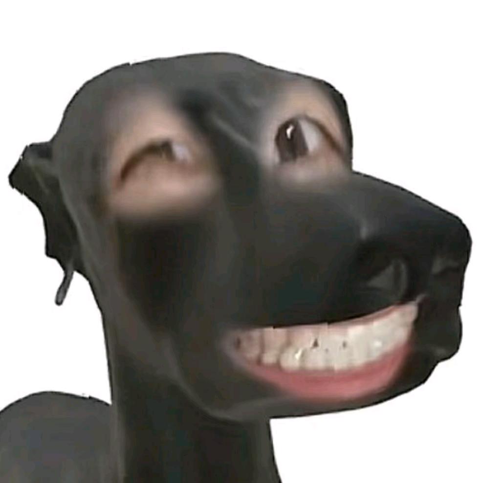 不丢大王