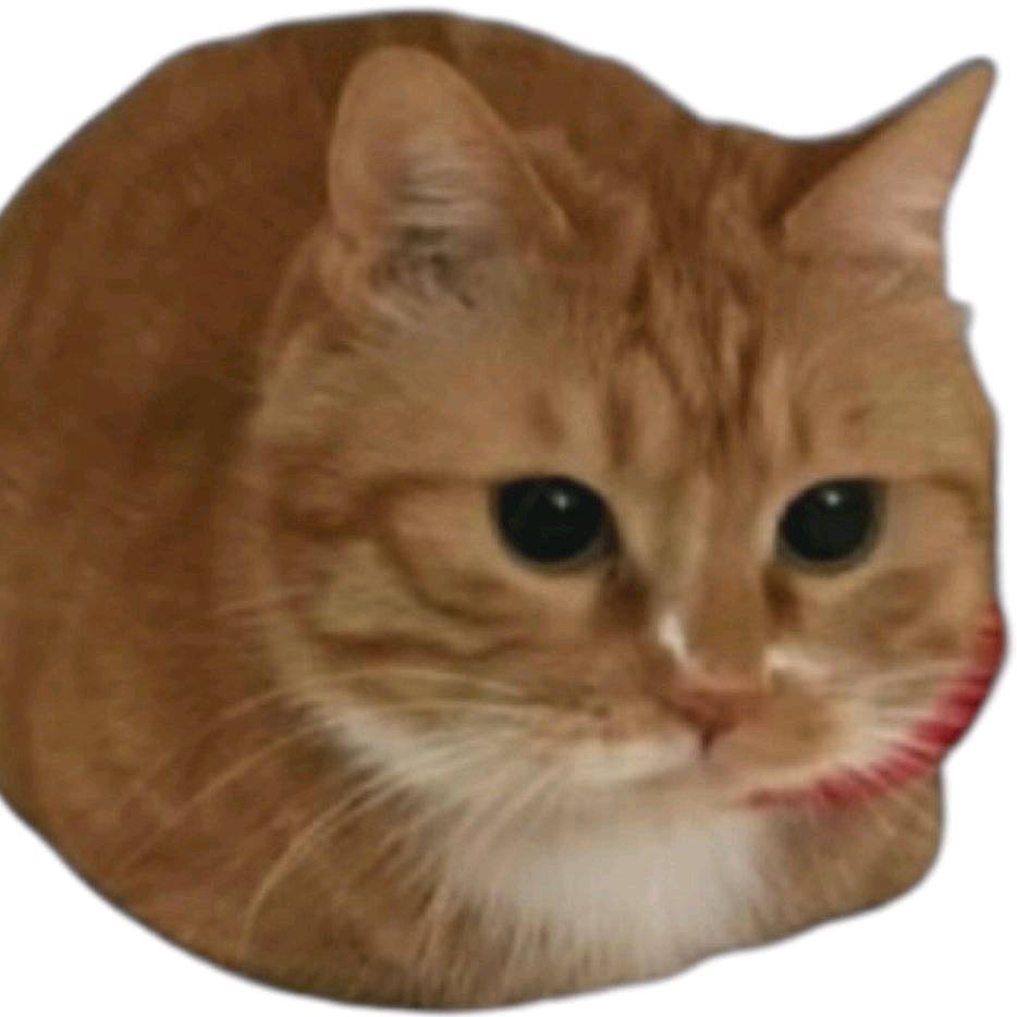 咖啡因重度依赖₊⊹