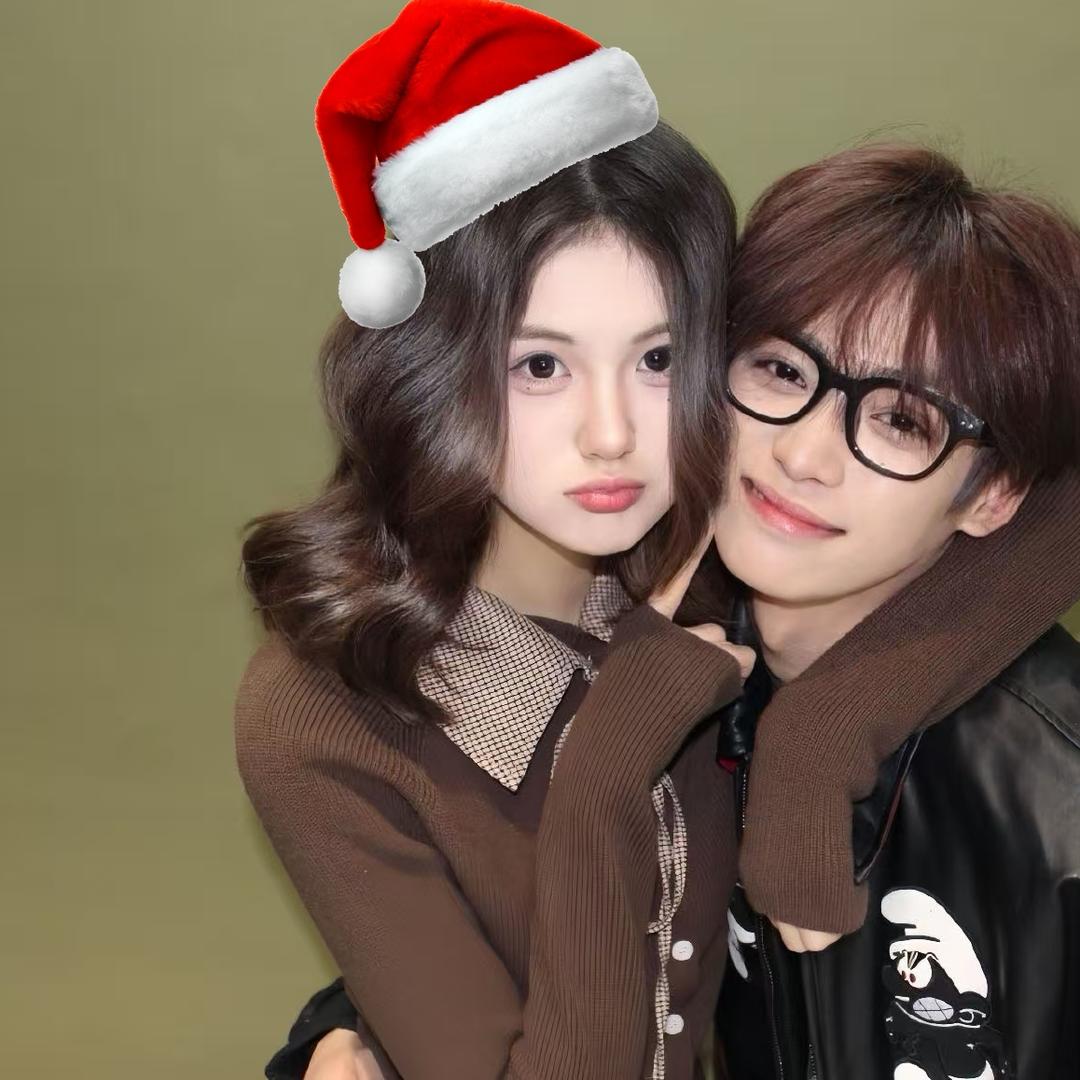 南枝北雁丨见过up版