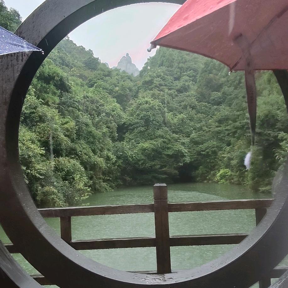 丸美