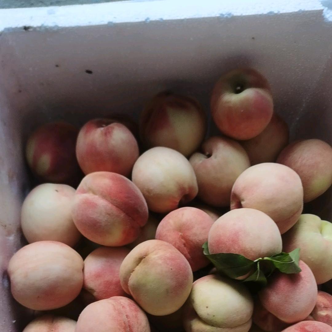 香坝“锅”神&&生活号