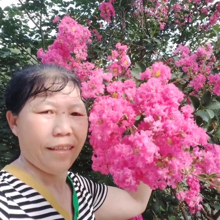 心❤️想，❤️事，❤️成，🍎魏姐