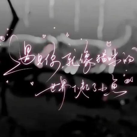 ༺།༼࿄࿆流星雨爱钓鱼࿅࿆༽།༻