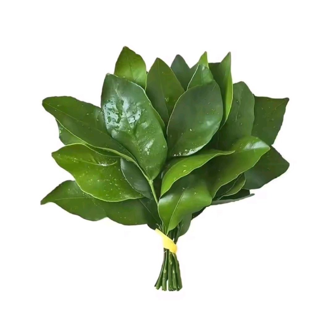霖冬